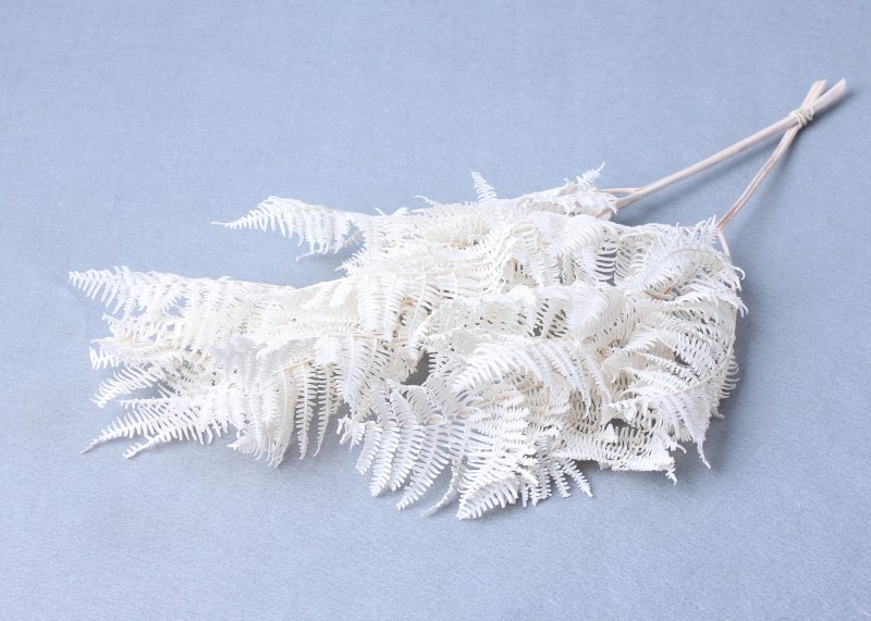 Picture of Brackenfern Bleached Bundle 40-50cm